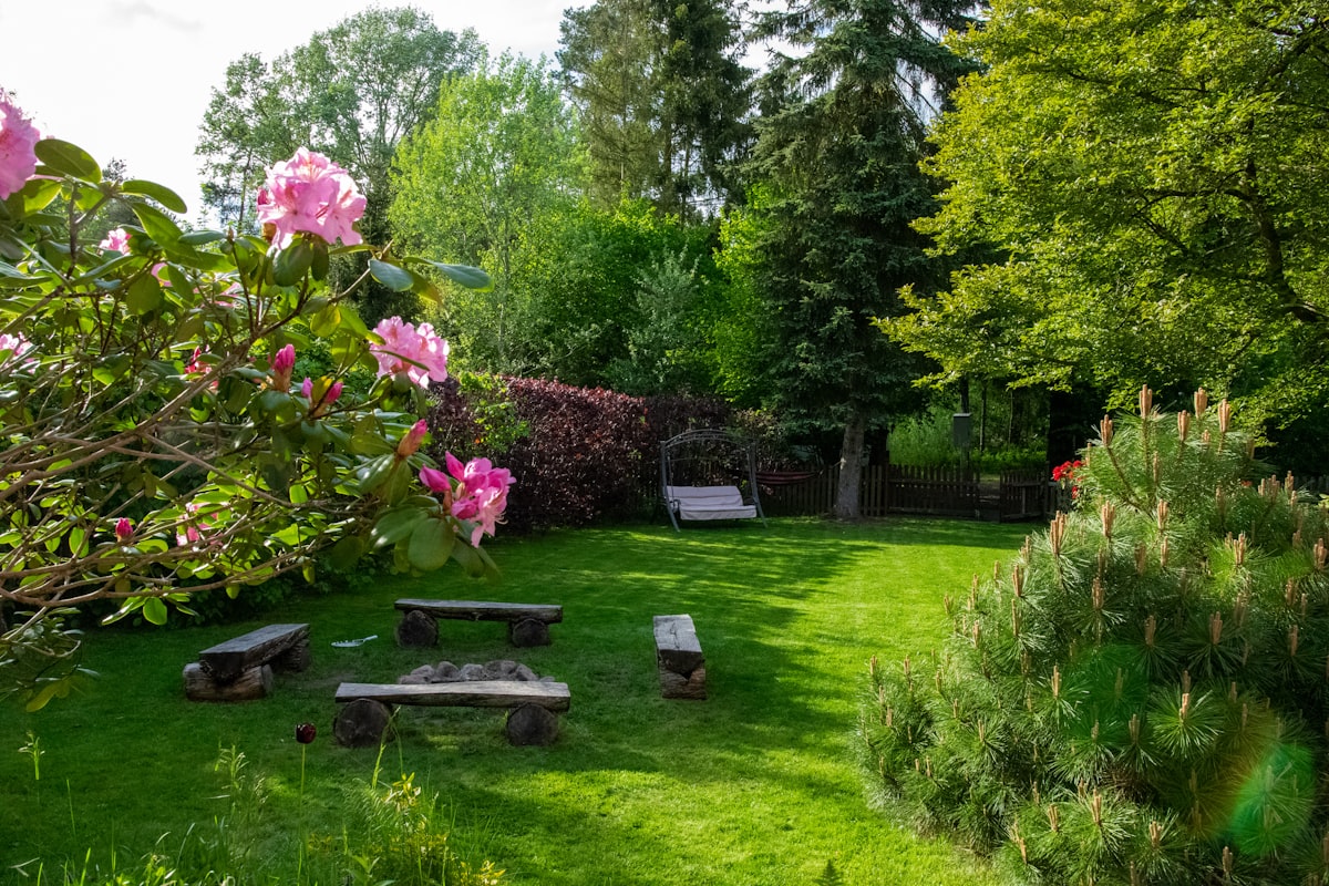 Blomsterbed med roser og en benk i hagen